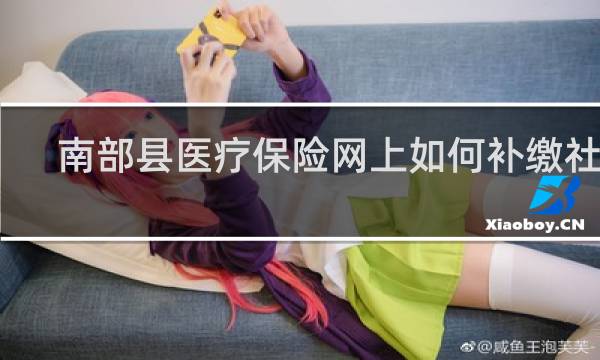 南部县医疗保险网上如何补缴社保