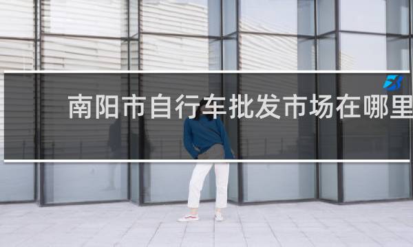 南阳市自行车批发市场在哪里