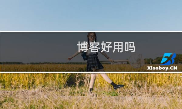 博客好用吗