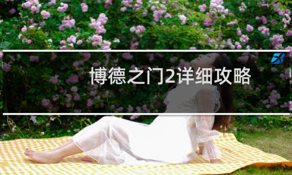 博德之门2详细攻略