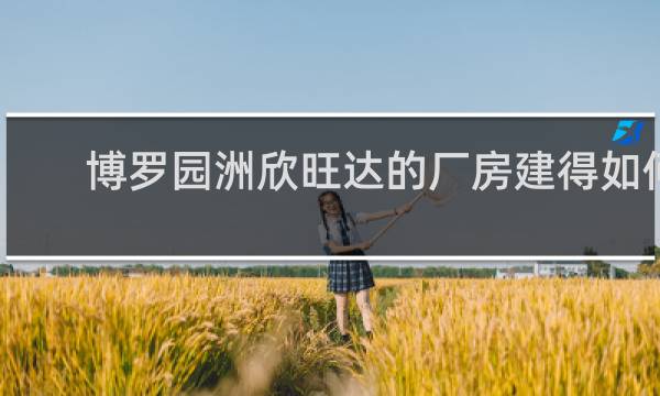 博罗园洲欣旺达的厂房建得如何