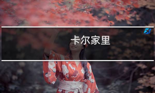 卡尔家里 攻略