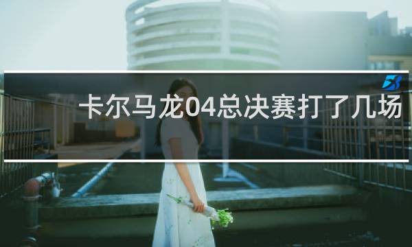 卡尔马龙04总决赛打了几场