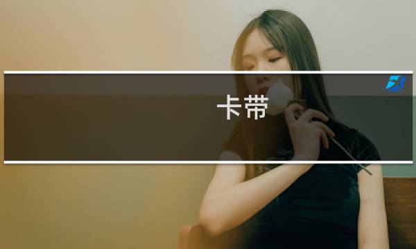 卡带 火焰纹章有什么用