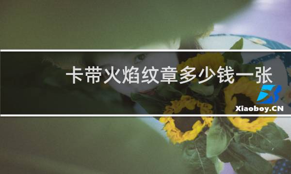 卡带火焰纹章多少钱一张