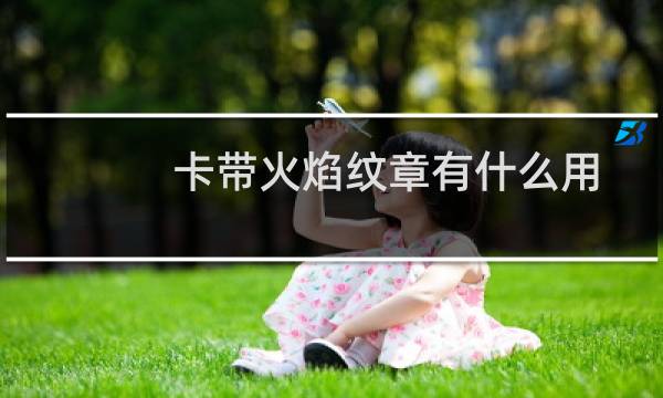 卡带火焰纹章有什么用