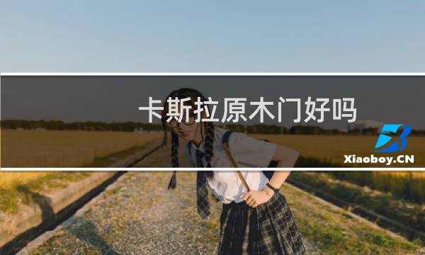 卡斯拉原木门好吗
