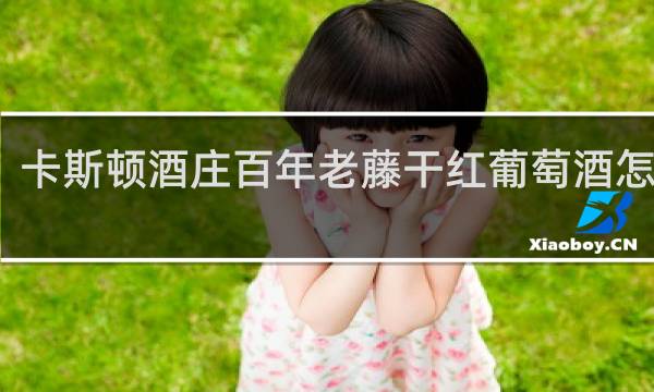卡斯顿酒庄百年老藤干红葡萄酒怎么样?