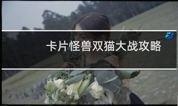 卡片怪兽双猫大战攻略