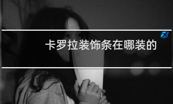 卡罗拉装饰条在哪装的