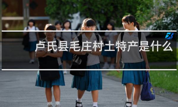 卢氏县毛庄村土特产是什么