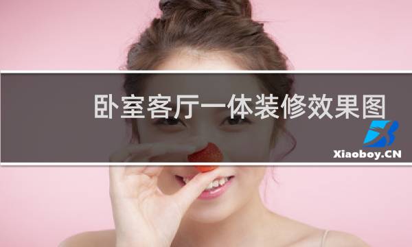 卧室客厅一体装修效果图