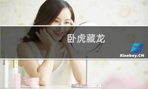 卧虎藏龙 攻略