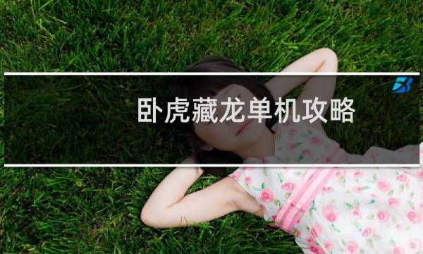 卧虎藏龙单机攻略