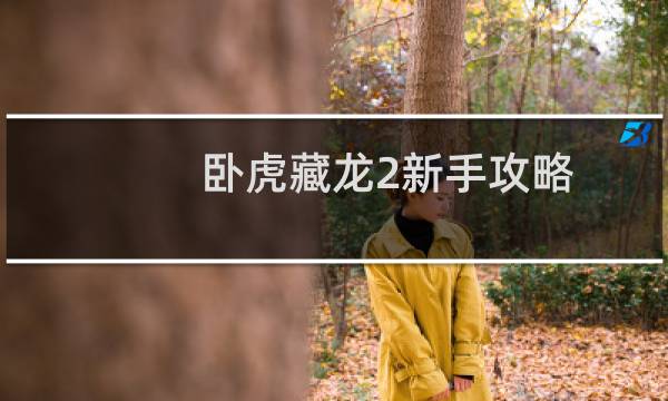 卧虎藏龙2新手攻略