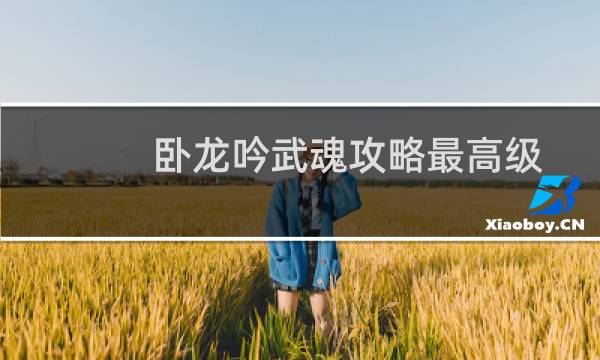 卧龙吟武魂攻略最高级