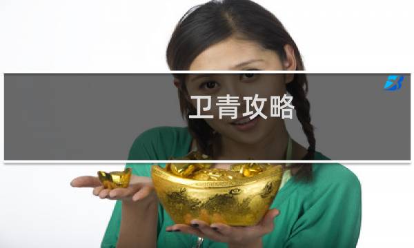 卫青攻略
