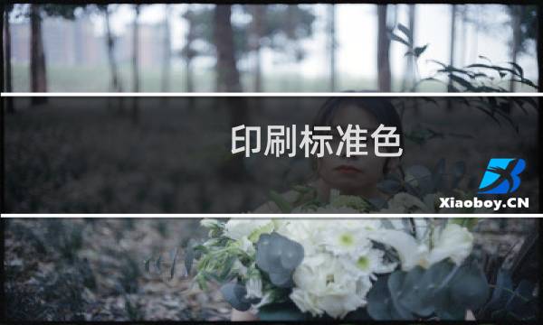 印刷标准色