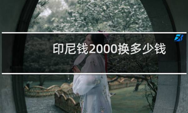 印尼钱2000换多少钱