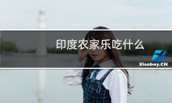 印度农家乐吃什么