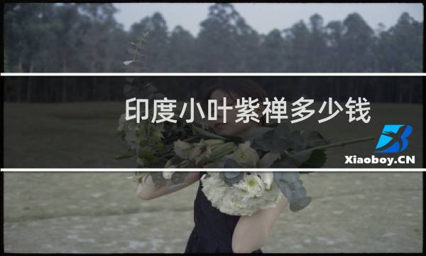 印度小叶紫禅多少钱