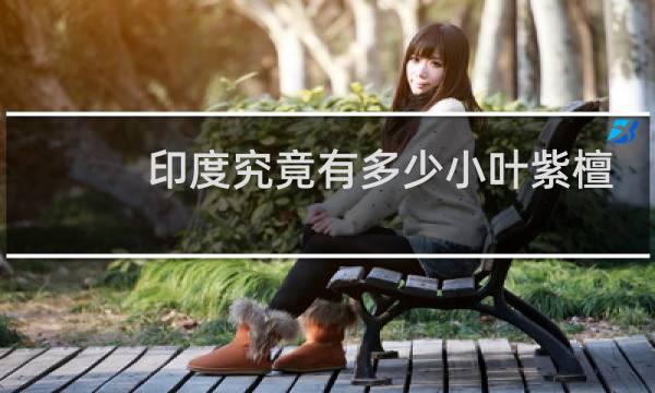 印度究竟有多少小叶紫檀