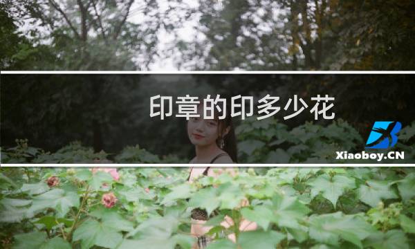 印章的印多少花