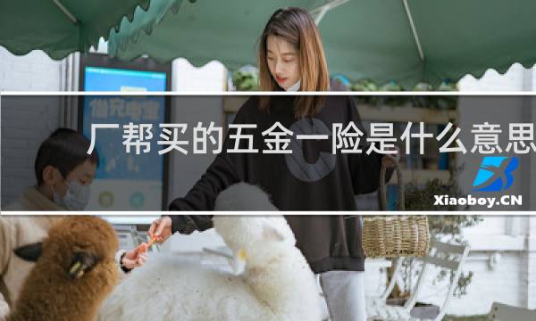 厂帮买的五金一险是什么意思
