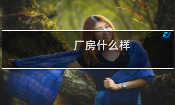 厂房什么样