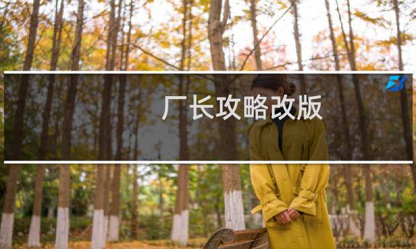 厂长攻略改版