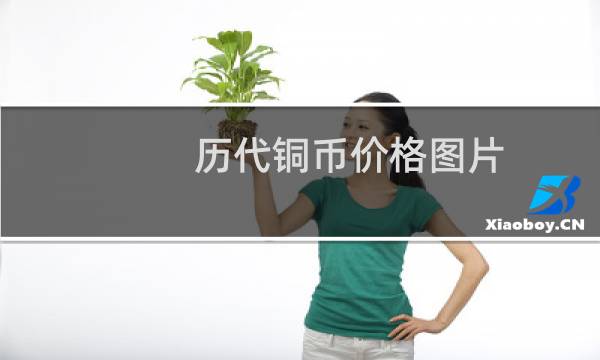 历代铜币价格图片