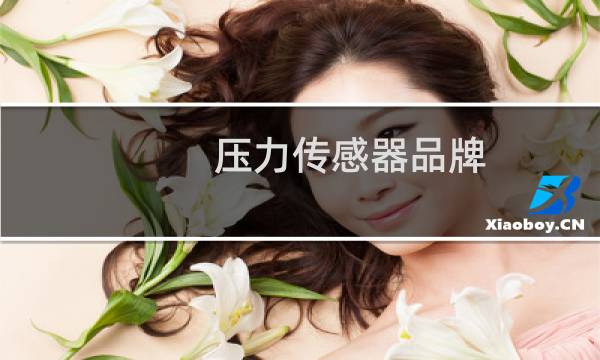 压力传感器品牌