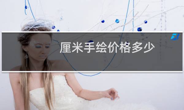 厘米手绘价格多少