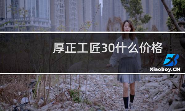 厚正工匠30什么价格