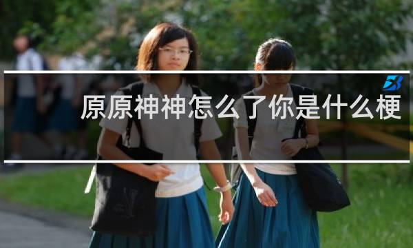 原原神神怎么了你是什么梗