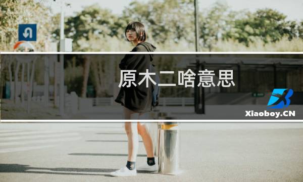 原木二啥意思