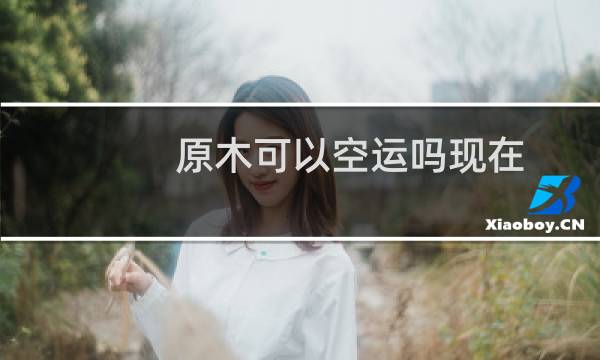 原木可以空运吗现在