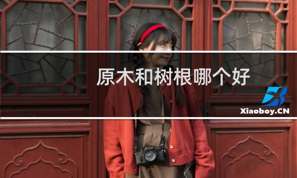 原木和树根哪个好