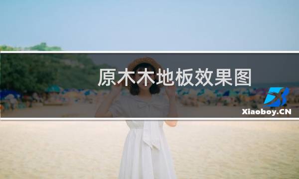 原木木地板效果图