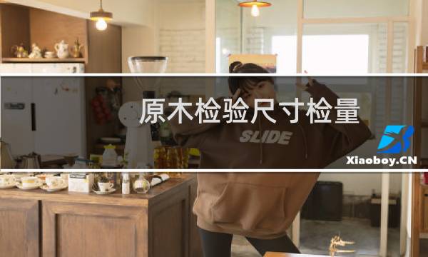 原木检验尺寸检量