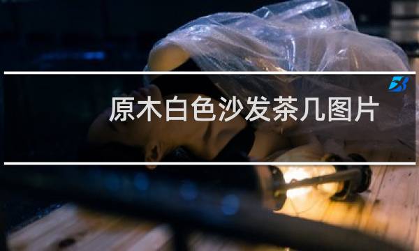 原木白色沙发茶几图片