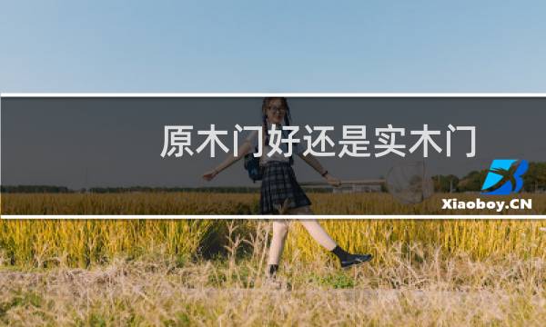 原木门好还是实木门