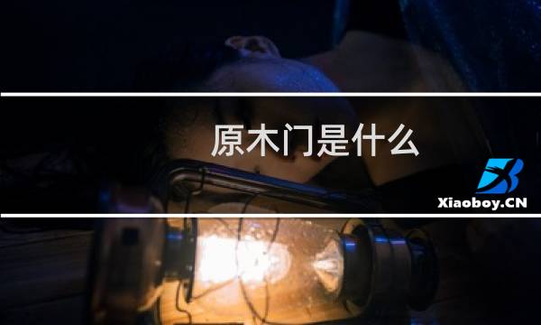 原木门是什么