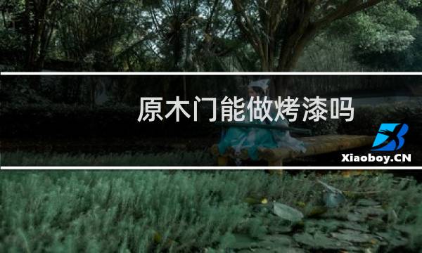 原木门能做烤漆吗