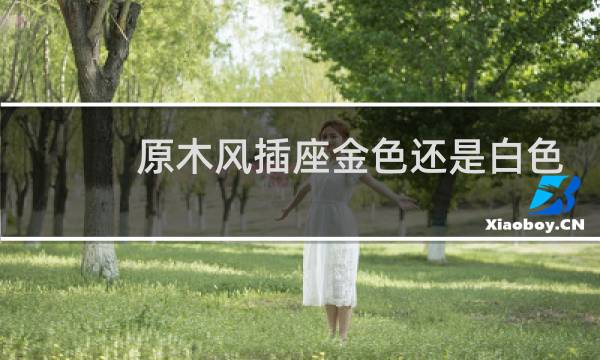 原木风插座金色还是白色