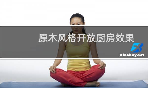 原木风格开放厨房效果