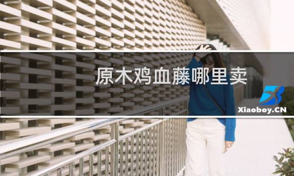 原木鸡血藤哪里卖