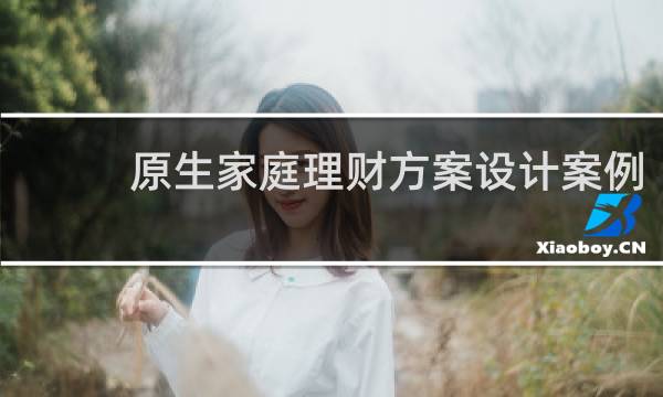 原生家庭理财方案设计案例