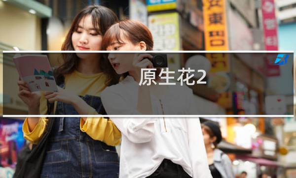 原生花2 攻略