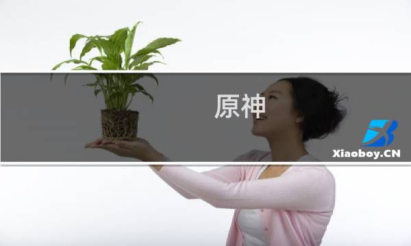 原神 九条娑罗怎么玩
